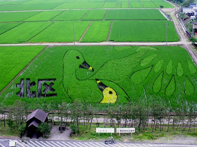 Japanese Rice Paddy Art 2010 Seen On www.coolpicturegallery.net