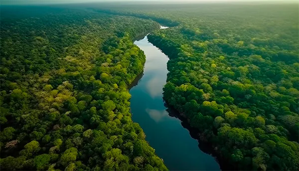 GoTrendier-Saving-The-Amazon