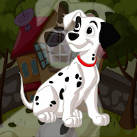 Gorgeous Dalmatian Dog Ho…