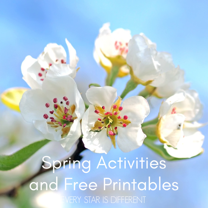 Spring Activities & Free Printables