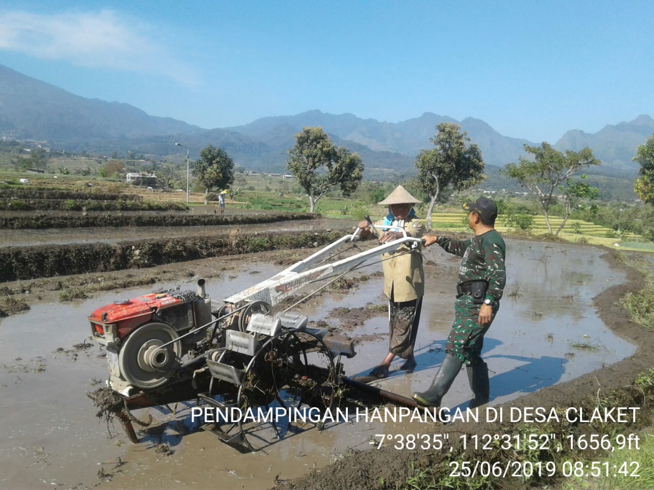 Upsus Ketahanan Pangan Babinsa Claket Dampingi Petani