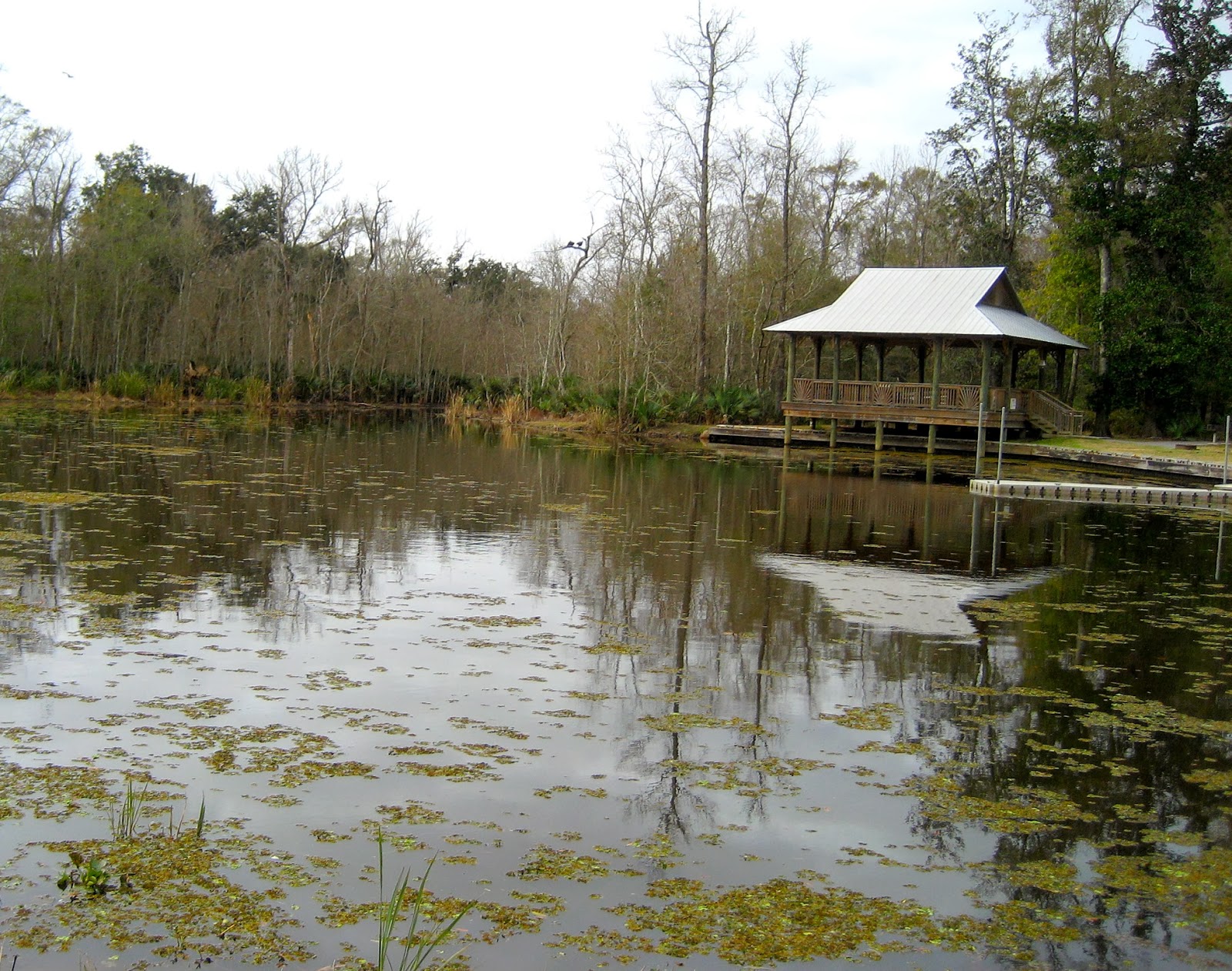 Living Rootless: Louisiana: Palmetto Island State Park 