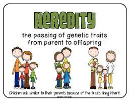 AMEESH NOTES: Role of Heredity and Environment in ...