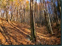 DSCN0727