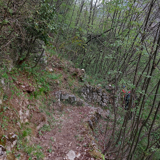 alta via del tabacco