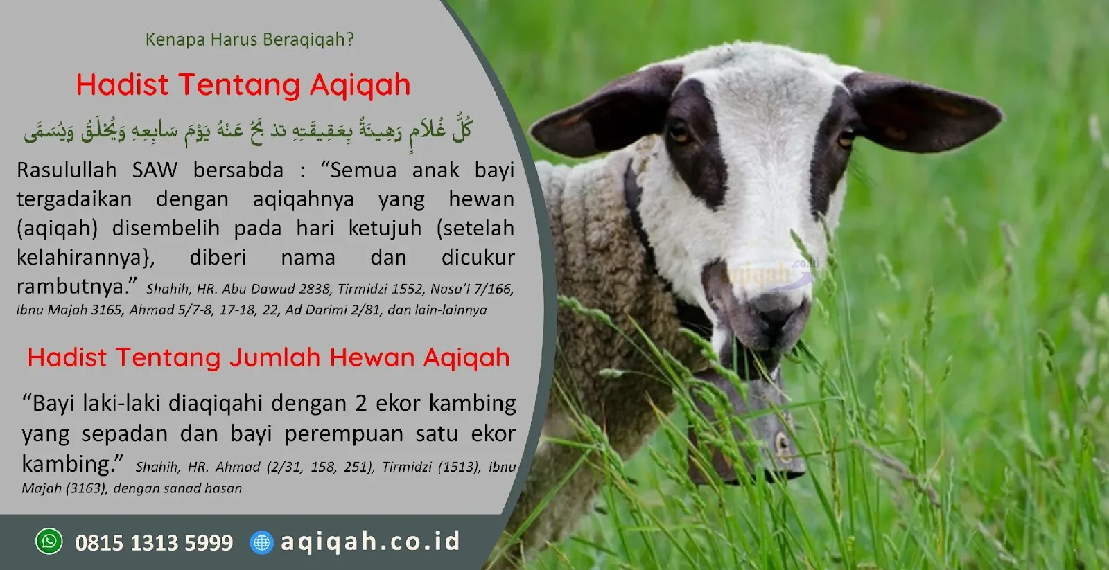 Aqiqah Babakan Cirebon Jawa Barat
