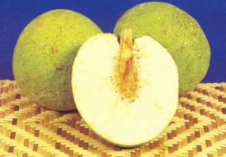 Health benefits of breadfruit seed