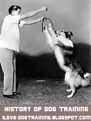 History of Dog Training