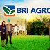 Info Lowongan Kerja Terbaru S1 BRI AGRONIAGA Pekanbaru Mei 2013