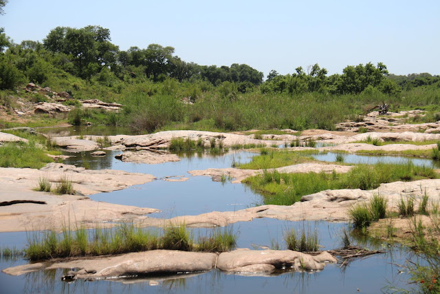 Blog Apaixonados por Viagens - Safári - África do Sul - Kruger Park