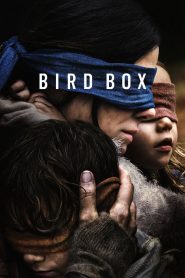 Bird Box (2018) Hindi Dubbed Download 