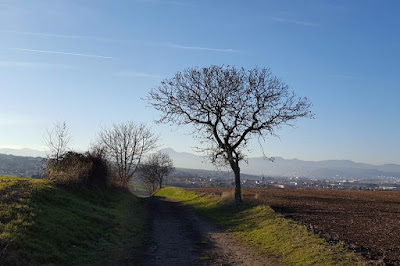 Balades avec Altamica Maison d'hôtes de charme à Cournon d'Auvergne