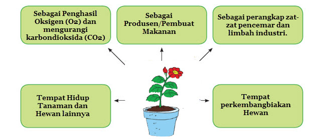 Manfaat Tumbuhan