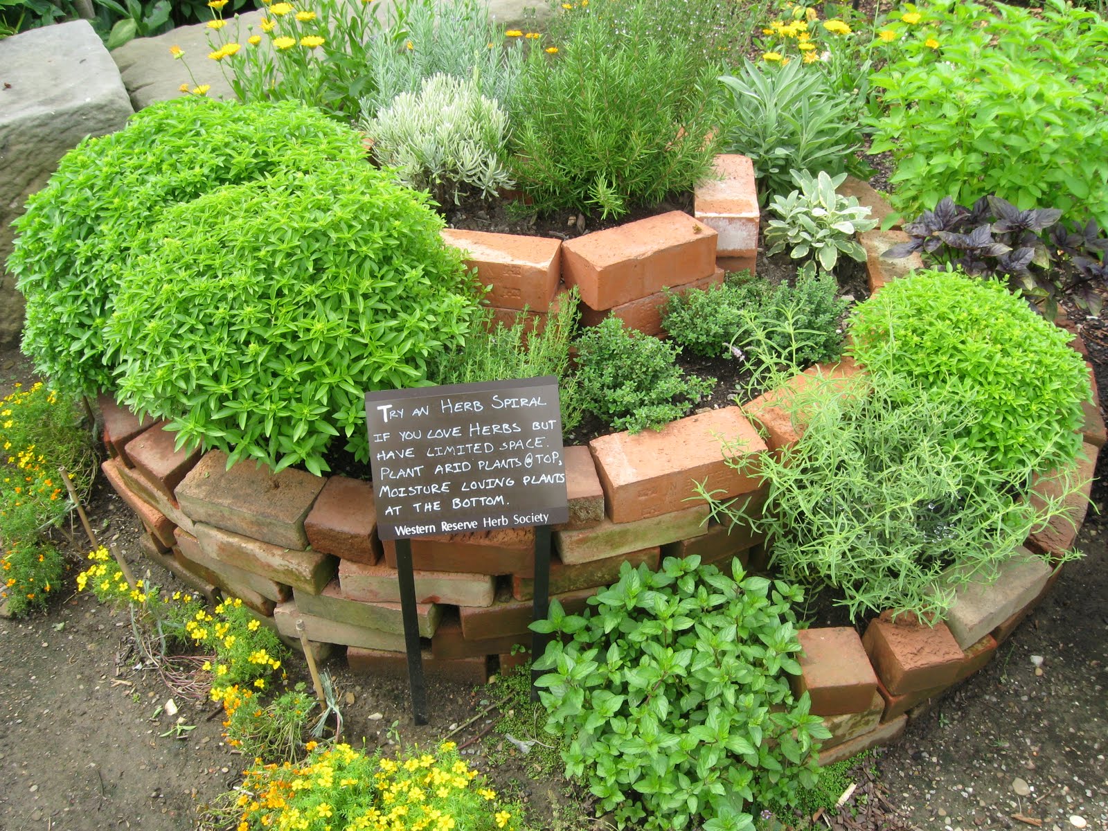 Herb Garden Design P