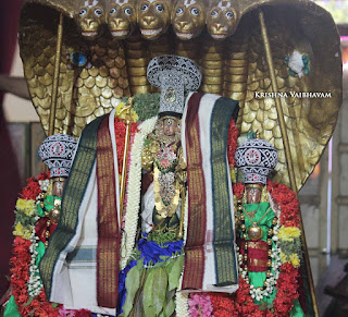 Sri Ranganatha Perumal, Pallava Utsavam, Sri Mannatha Perumal,Thirumanjanam, Purappadu,  Triplicane,  Purappadu, Thiruvallikeni, Utsavam, 