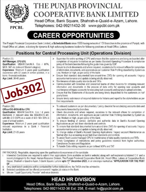 Punjab Provincial Cooperative Bank Limited (PPCBL) Today Job