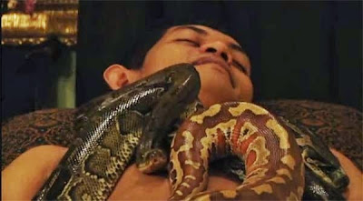 Snake Massage Parlour 