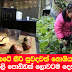 කටේ කිරි සුවදවත් නොගිය සුරතල් කෙලි පොඩ්ඩක් ලොවටම දෙන ආදර්ශය