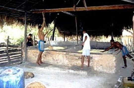 Produzione di farina di mandioca - Cedral, Maranhao