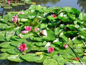 Jardins do Monet em Giverny