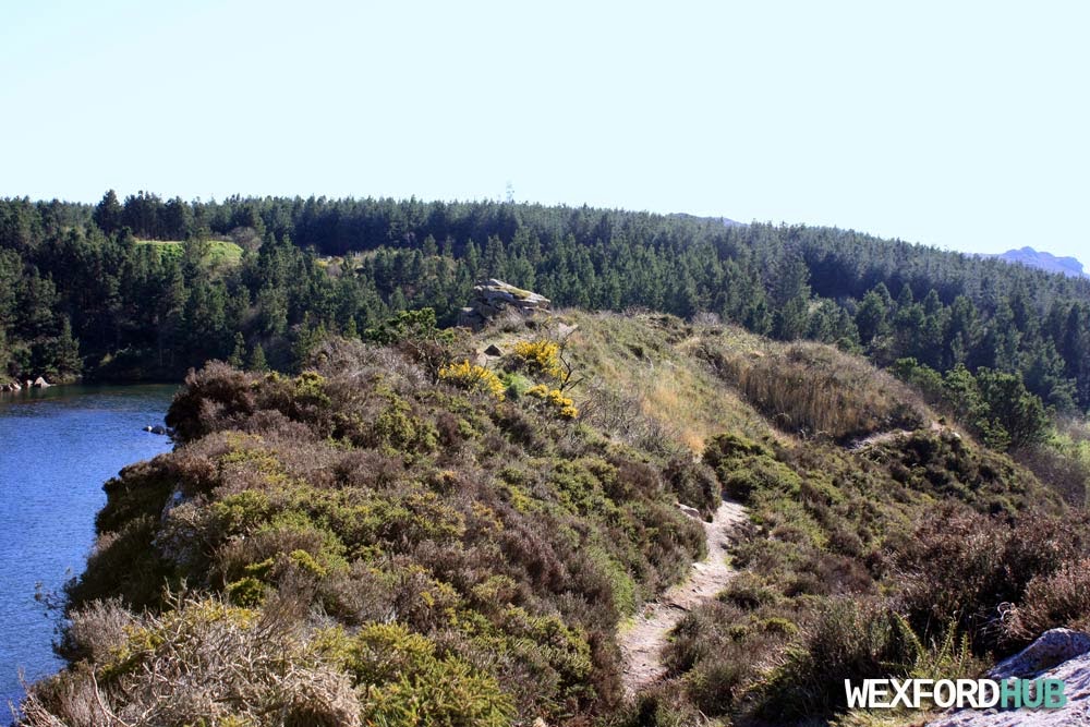 Carrigfoyle quarry