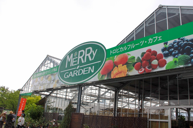 MERRY GARDEN