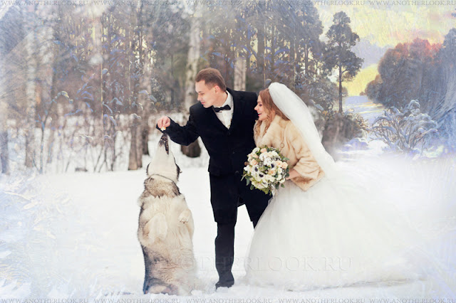 свадьба с собакой фотосессия