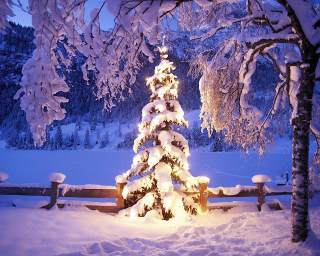 christmas and newyear wallpaper downloads