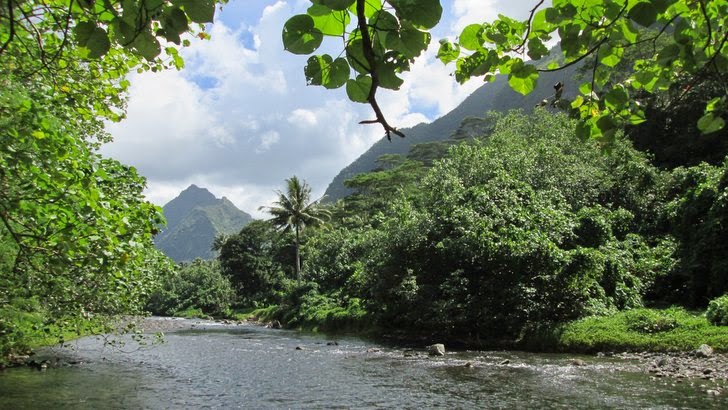 Vallée Vaitepiha Tautira Tahiti