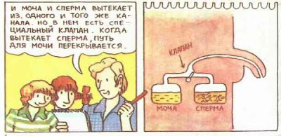 Откуда берутся дети стр.7