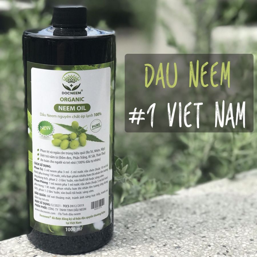 Dầu Neem ép lạnh chứa đến 2950 ppm Azadirachtin