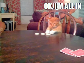 30 Funny animal captions - part 18 (30 pics), funny gambling cat meme, ok i'm all in