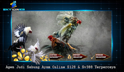 Daftar Sabung Ayam Online Sv388 (sv288) Teraman Di Asia