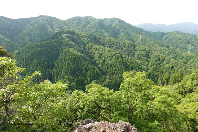 鳥取県西伯郡南部町八金 金華山登山道からの眺望