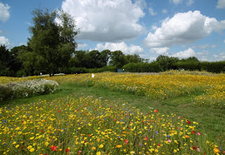 Photo of Luton Mini Golf Meadows in Wardown Park