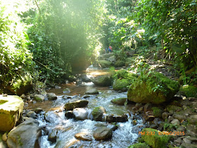 Catarata_cascada_Tangarana