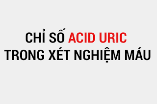 Sinh lý acid uric, nguyên nhân gây tăng acid uric máu, nguyên nhân giảm acid uric máu, bệnh gout và acid uric, chỉ số acid uric bình thường, các bệnh liên quan đến acid uric.