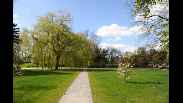 Déchets verts et incinérateurs de jardin des grandes enseignes 