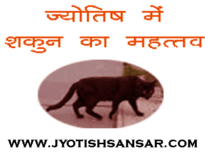 shakun apshakun in hindi jyotish