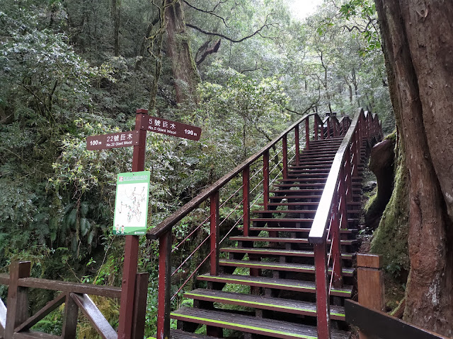 拉拉山國家森林遊樂區 - 步道