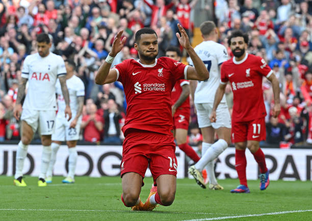 Cody Gakpo of Liverpool celebrates