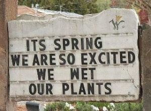 Funny Spring Wet Plants Sign | Funny Joke Pictures