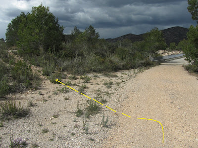 LA BISBAL DEL PENEDÈS A MAS TARRAGÓ