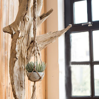 Plant Hanger Macrame Knots Garden Indoor Outdoor