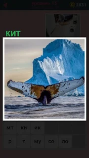  из воды выглядывает хвост кита рядом с айсбергом