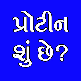 પ્રોટીન