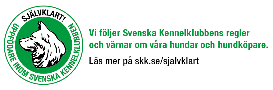 Svenska kennelklubben