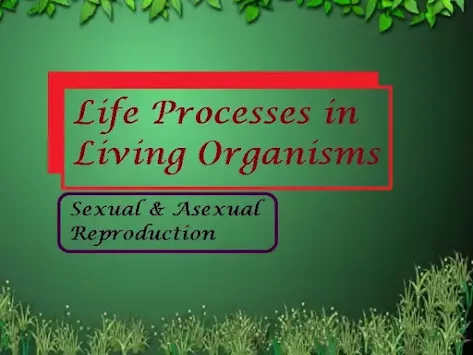 life processes