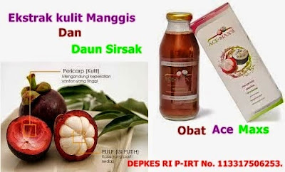 http://acemaxs44.com/obat-tradisional-rematik/