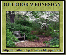 Outdoor_Wednesday_logo